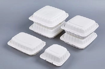 compostable take out container