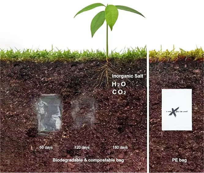 composting process